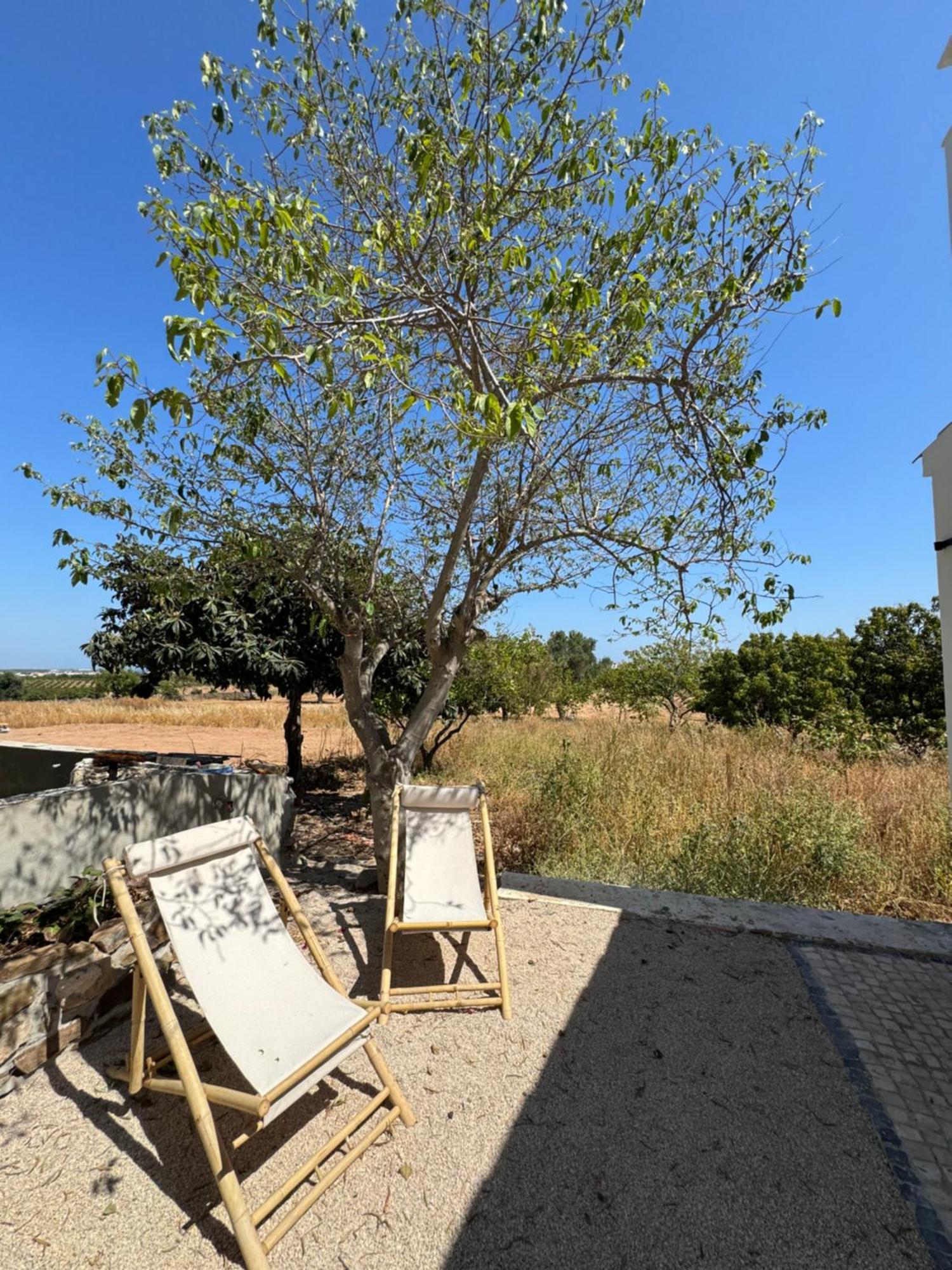 Quinta Castor * Vila Nova de Cacela