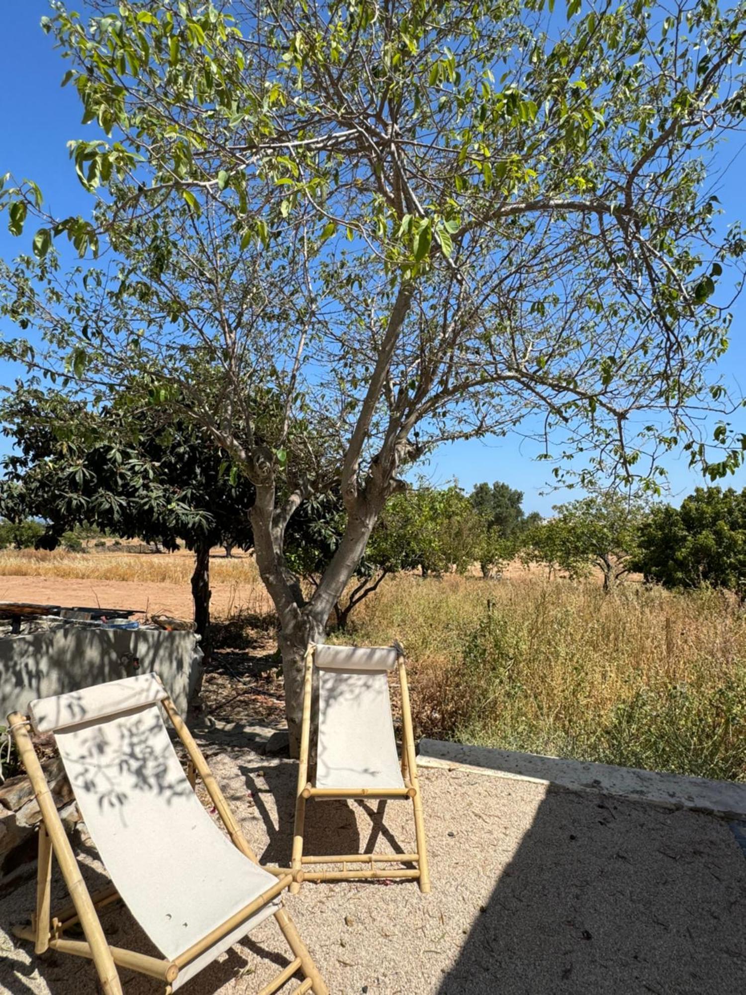 Quinta Castor Holiday home *