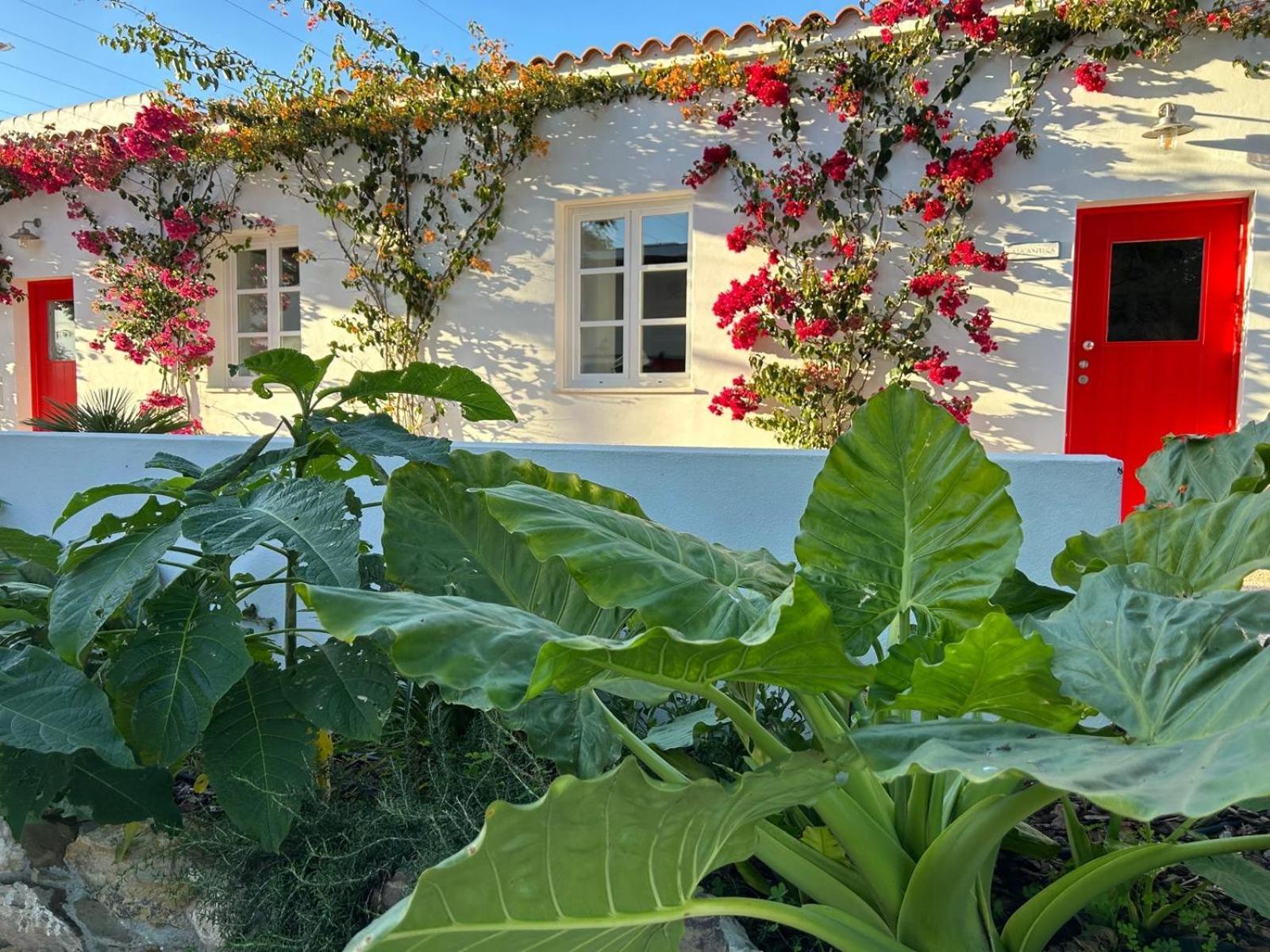 Quinta Castor * Vila Nova de Cacela