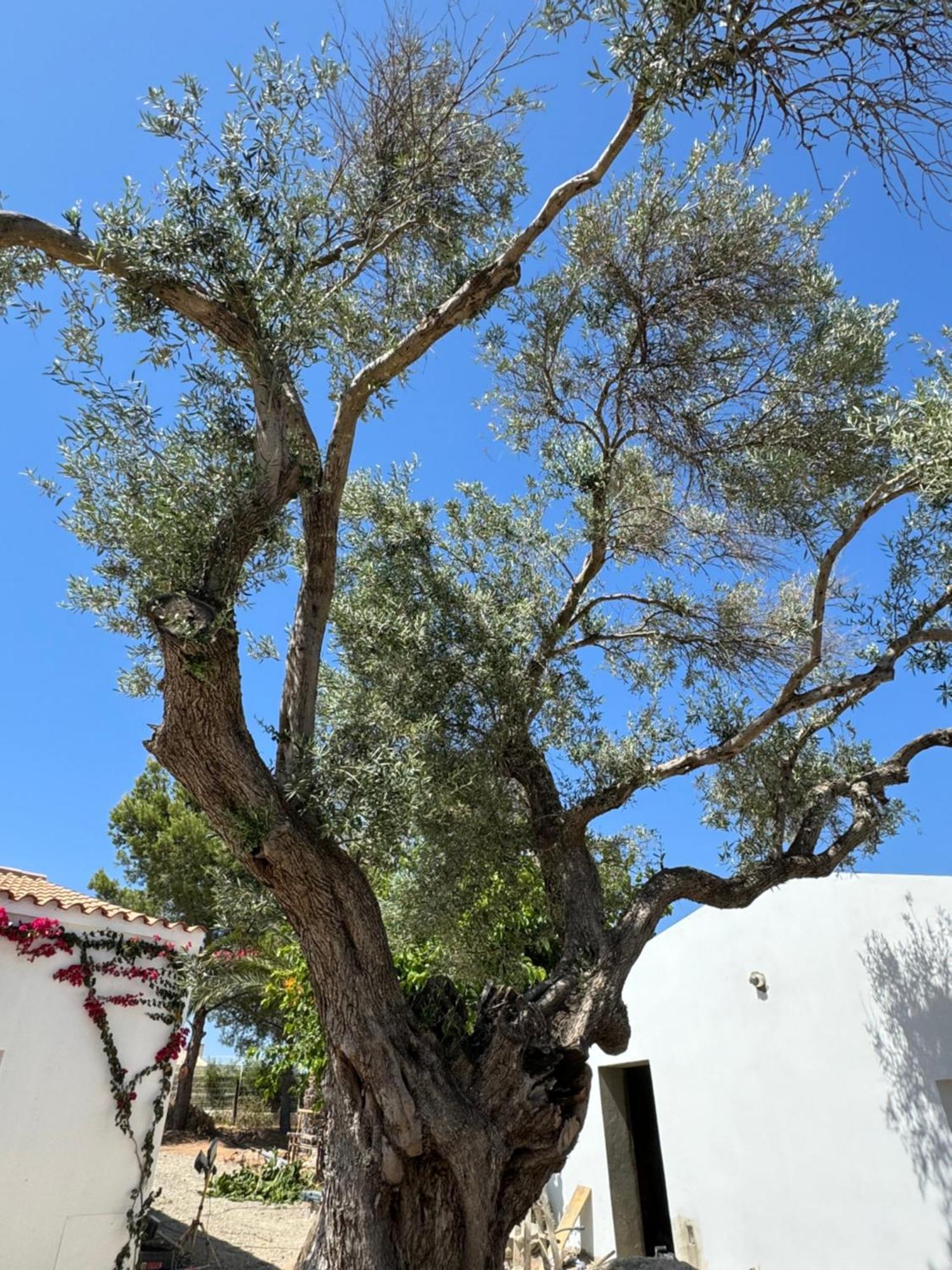 Holiday home Quinta Castor